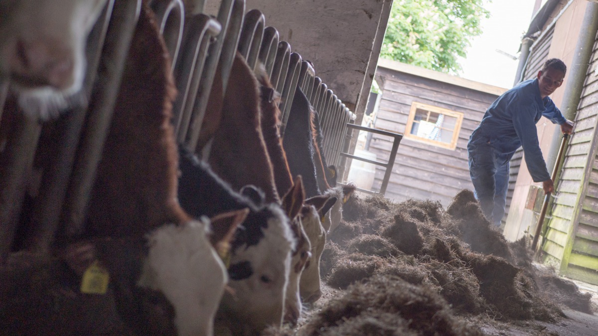 Erf-1 Boerenerf Lodge and experience farm - Photo 3
