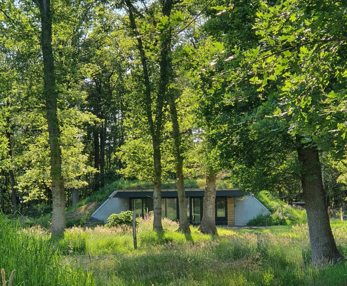 In the Heuvelrug - Photo 3
