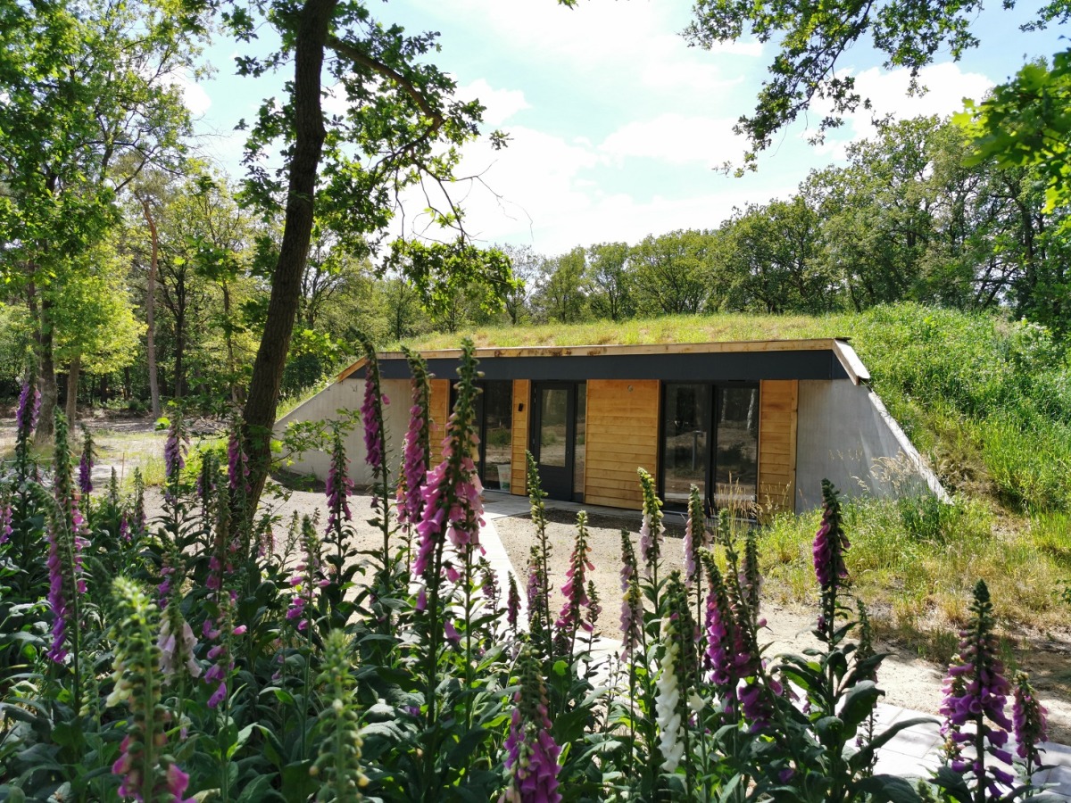 In the Heuvelrug - Photo 2