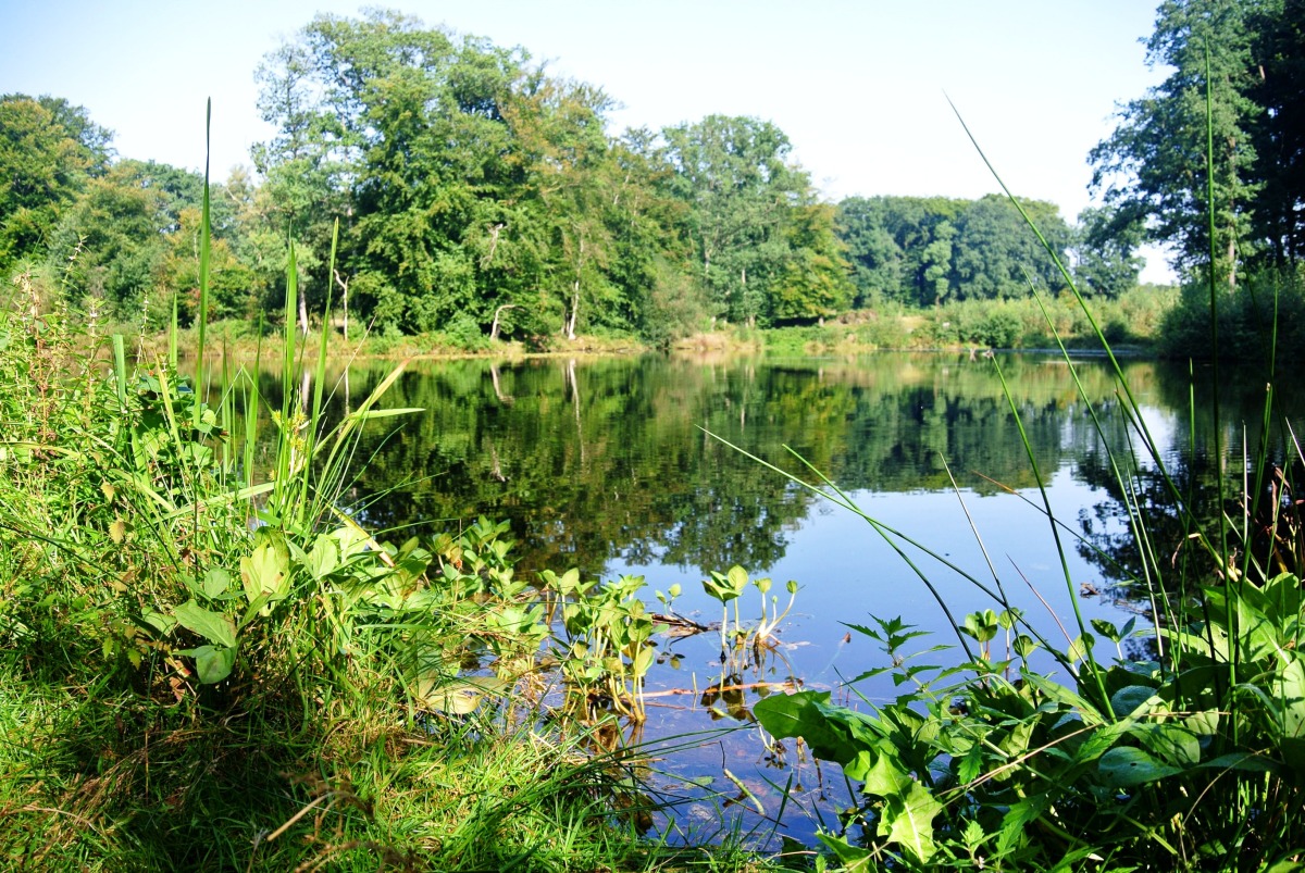 Camping Bij De Bronnen photo 3