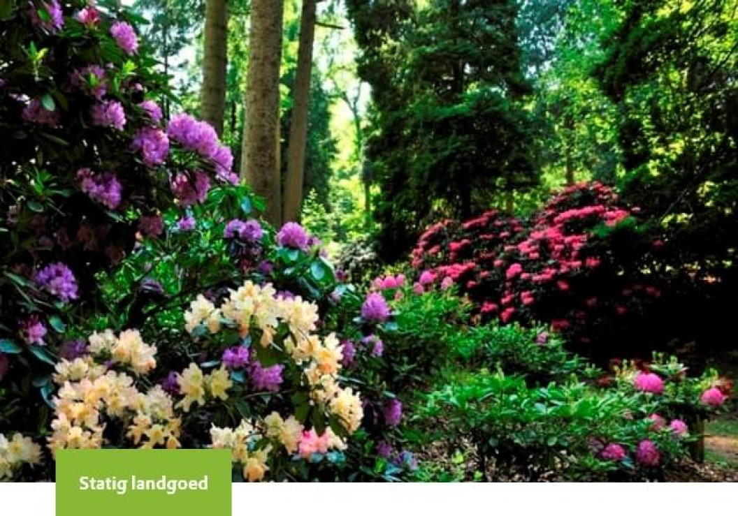 Statig landgoed