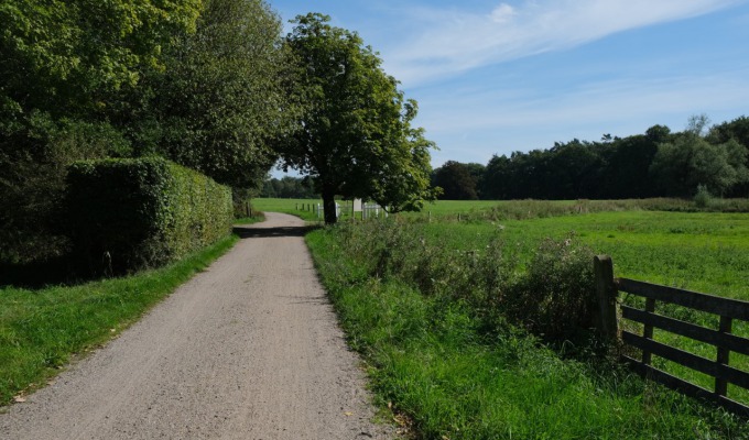 Wandelen in een 'bergachtig' Nederland.