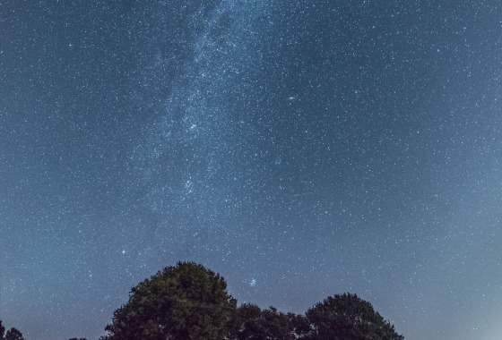 Kroezeboom in Fleringen