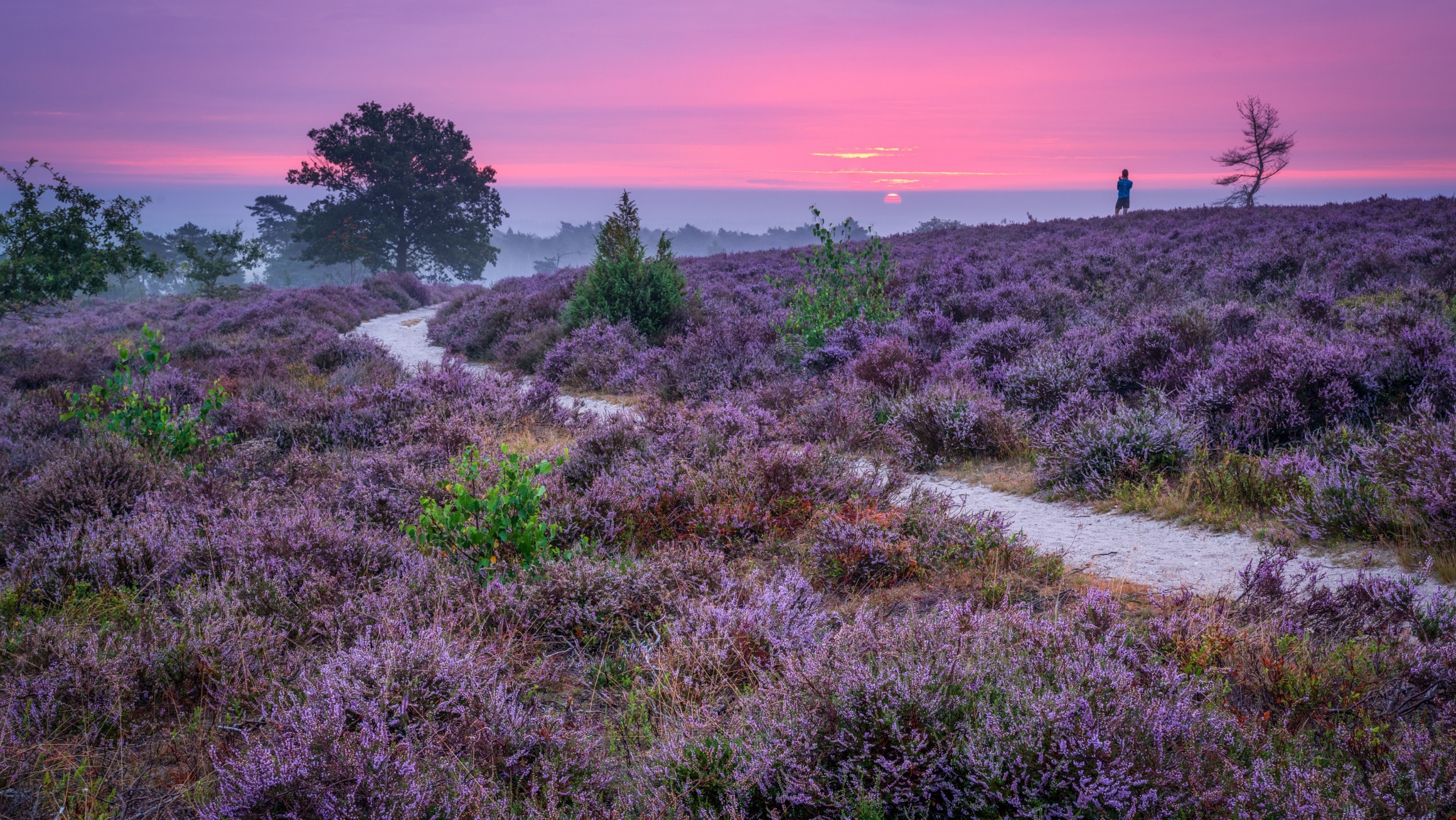 Nationaal Park De Sallandse Heuvelrug