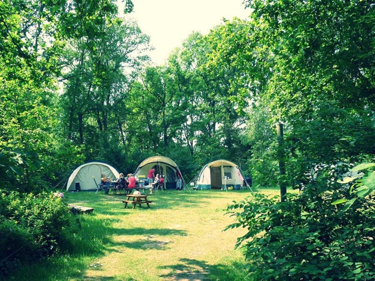 De Meene Camping & Group accommodation photo 4