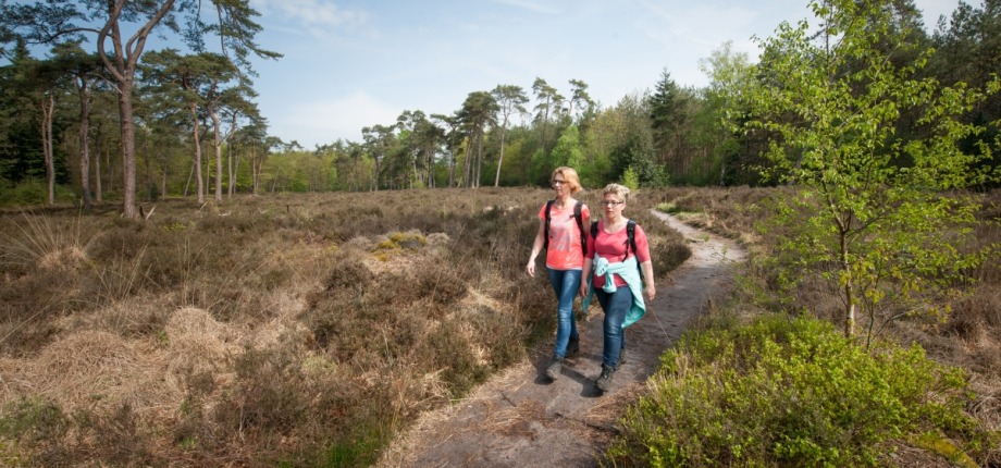 Wandelpad bij landgoed de Eese