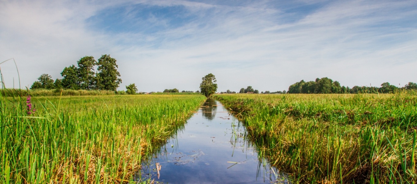 Nationaal Park Weerribben-Wieden