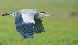 Vogelkijkhut Lageweg