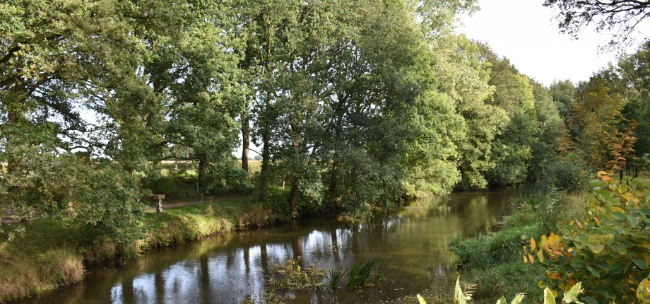 De Dinkel omringd door mooie herfstkleuren