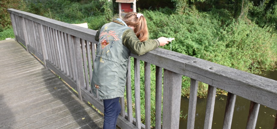 Hoe diep is de Dinkel?