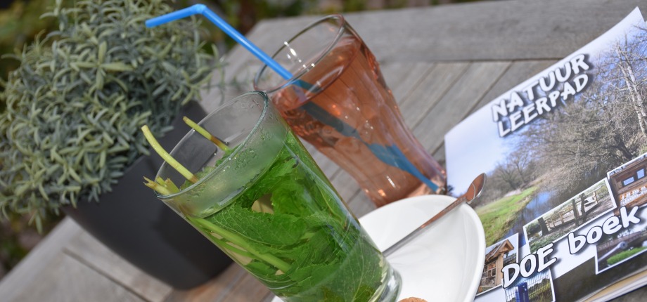 Nagenieten bij 't Sterrebos