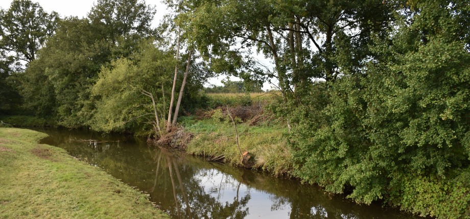 Wat leeft er in de Dinkel?