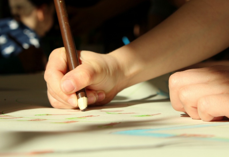 Workshop dieren tekenen - Kom dieren tekenen