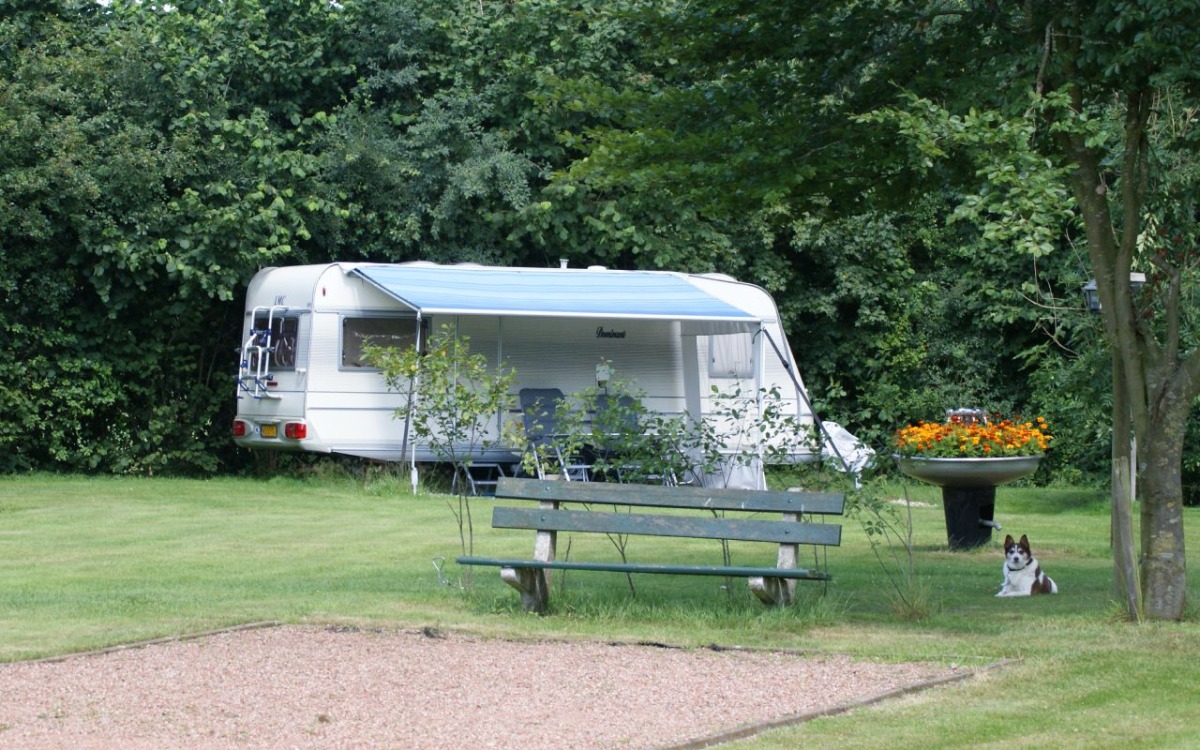 Camping 'n Stork