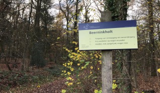 Natuurgebied Beerninkholt