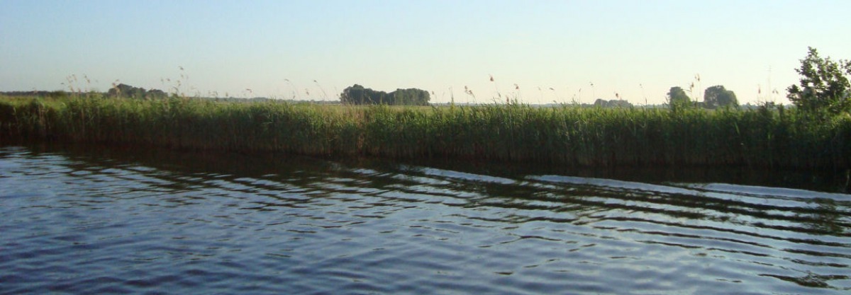 De Molsbongerd - Photo 2