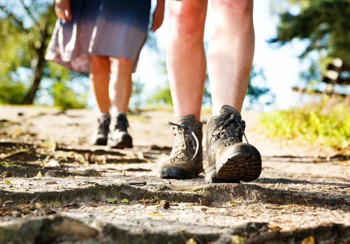 De mooiste wandelroutes in Holten om Salland te ontdekken - Verslingerd