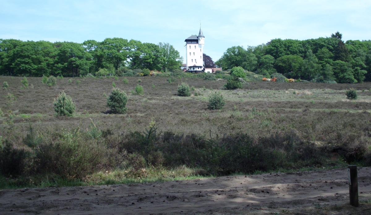 De Heidebloem - Photo 3