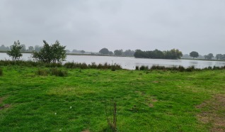 Natuurgebied Dakhorst