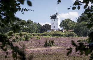 Wit kasteeltoren te midden van groene bomen en een paarse heidevlakte onder een blauwe lucht met wolken.