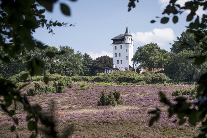 Wit kasteeltoren te midden van groene bomen en een paarse heidevlakte onder een blauwe lucht met wolken.