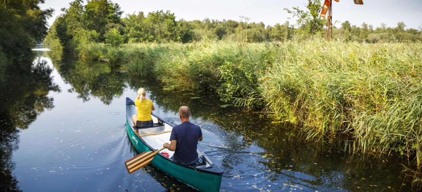 Vogel spotten in de Weerribben-Wieden