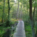 Kleine wandelommetjes