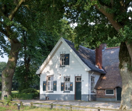 Traditioneel Nederlands huis met rieten dak, omgeven door bomen, gelegen aan een rustige landweg.
