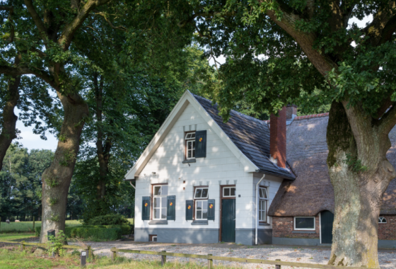 Traditioneel Nederlands huis met rieten dak, omgeven door bomen, gelegen aan een rustige landweg.