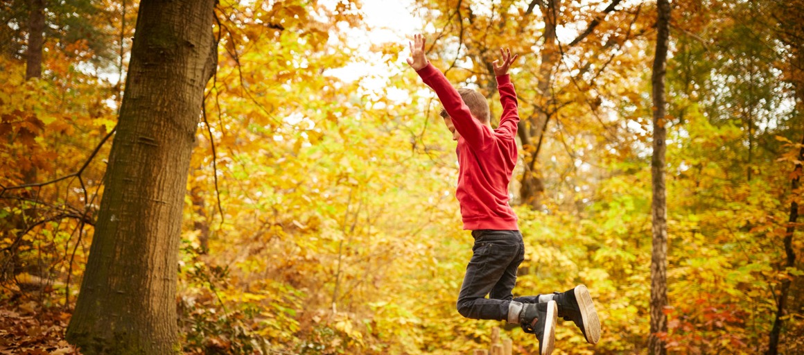 Een kind springt van een boomstronk in een herfstbos, omgeven door felgekleurde bladeren op de grond.