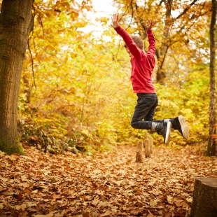 Een kind springt van een boomstronk in een herfstbos, omgeven door felgekleurde bladeren op de grond.