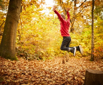 Een kind springt van een boomstronk in een herfstbos, omgeven door felgekleurde bladeren op de grond.