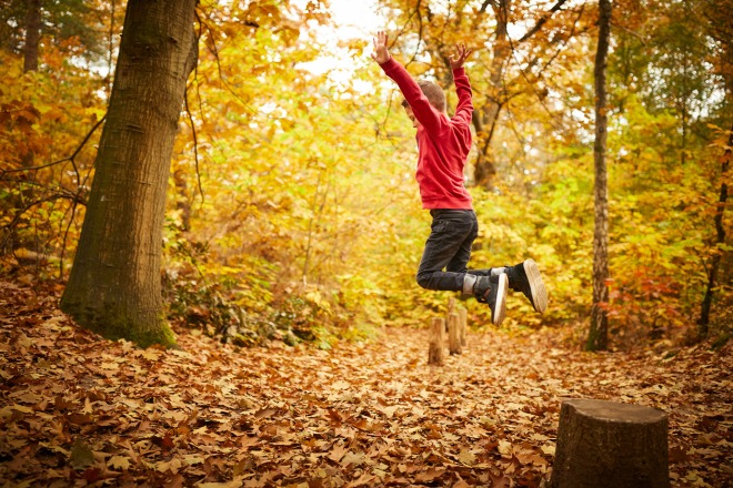 Een kind springt van een boomstronk in een herfstbos, omgeven door felgekleurde bladeren op de grond.