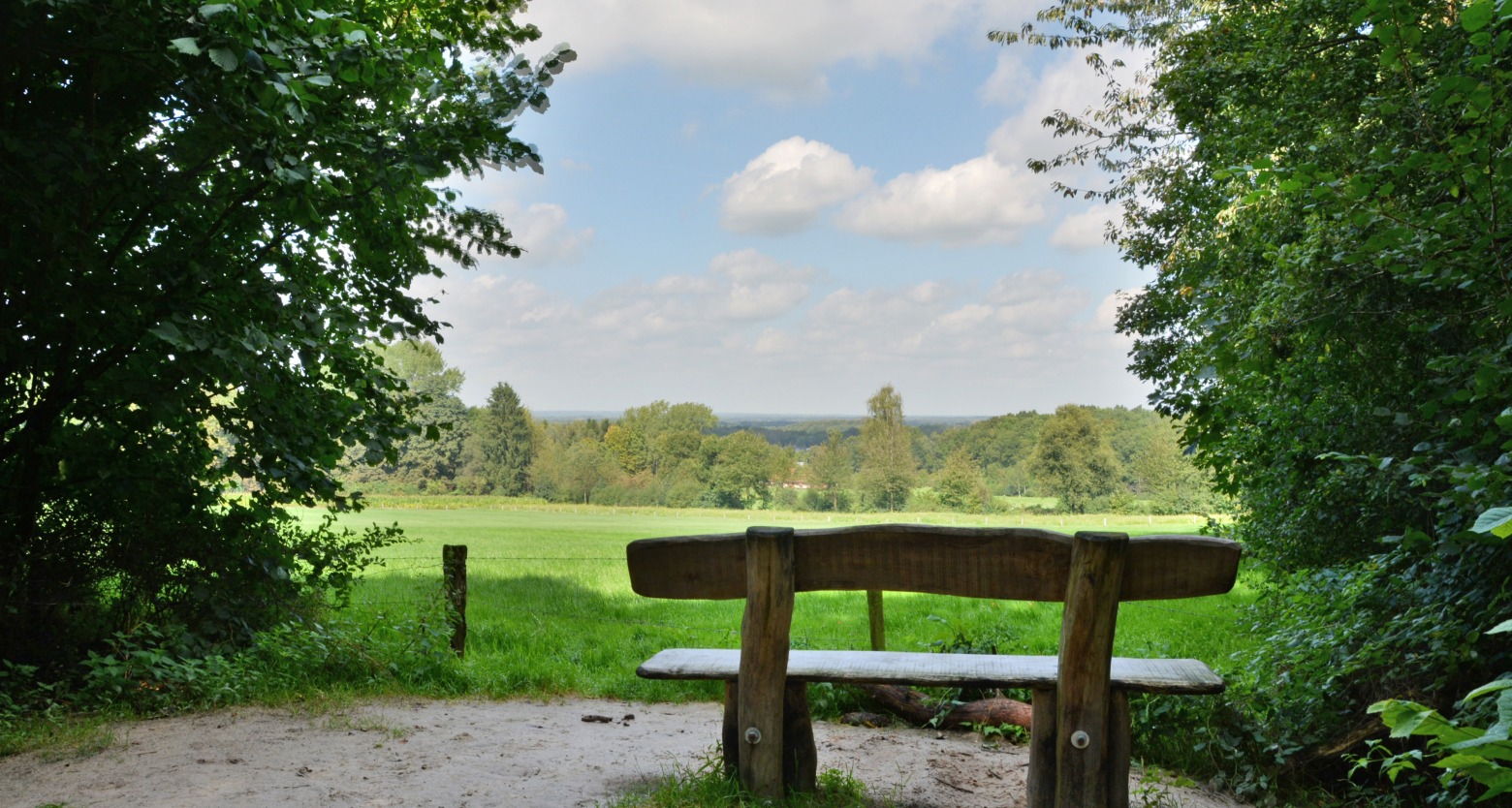 Top 5 wandelingen van Truus Wijnen - Visit Twente