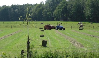 De Kruimelboerderij