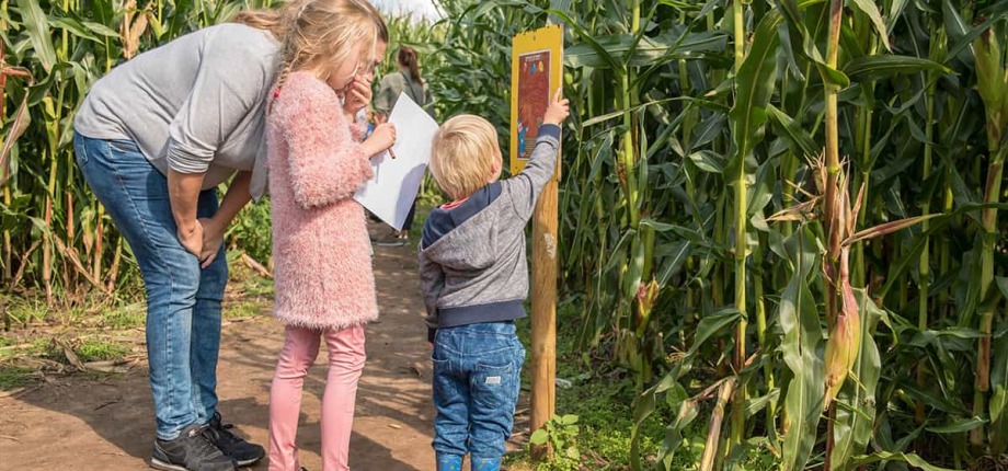 Heerlijke buitenactiviteit