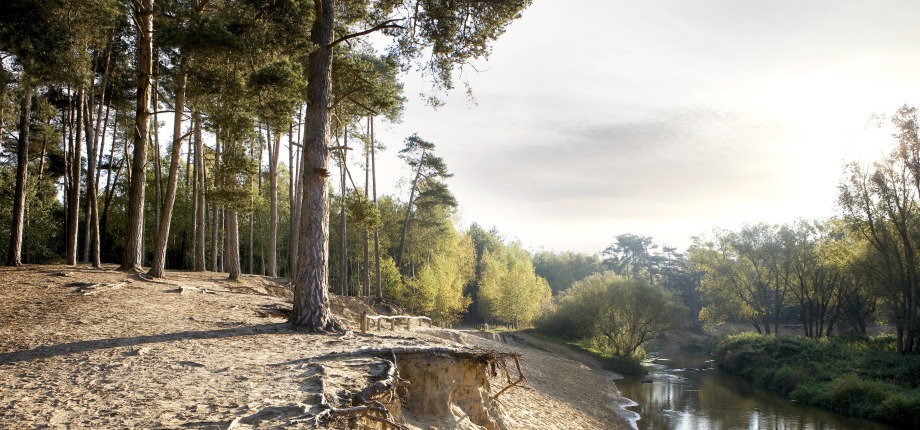 Landschap van Twente