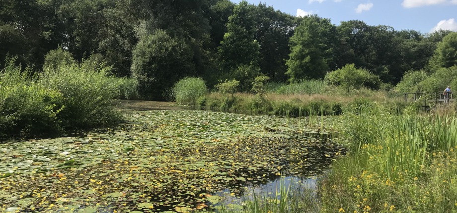 Arboretum Poortbulten