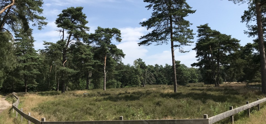 Het Hulsbeek
