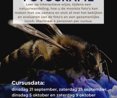 Cursus Natuur Fotografie