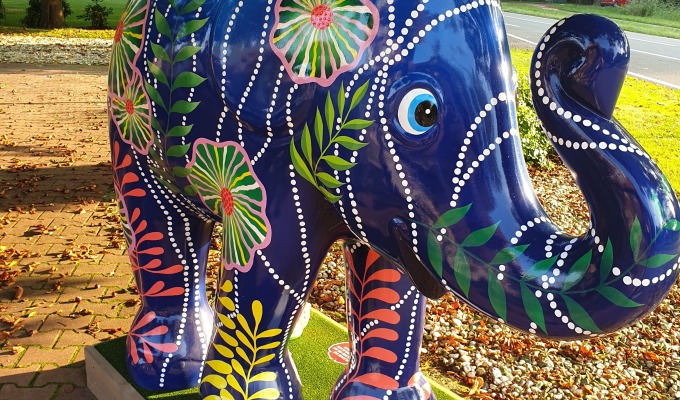 Op pad voor Happen & Tuffen met de Elephant Parade