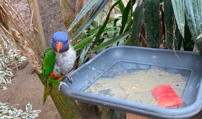 Maak kennis met Erlebnispark Emsflower