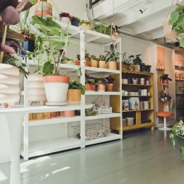 Gezellige plantenwinkel met groene kamerplanten, kleurrijke bloempotten en kaartenrek bij trap.
