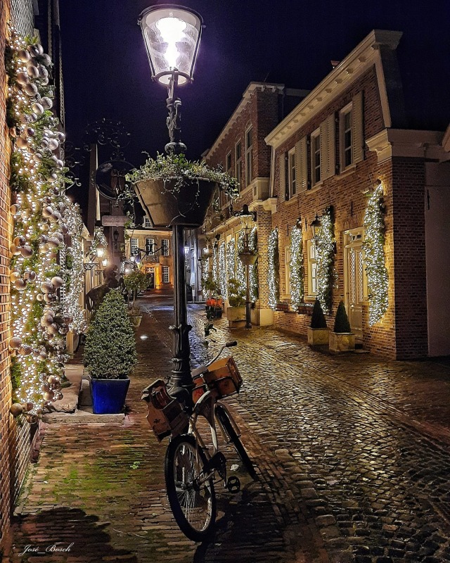 Avondwandeling in Kerstsfeer