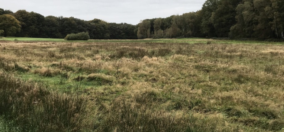 Uitzicht vanaf Erve Middelkamp