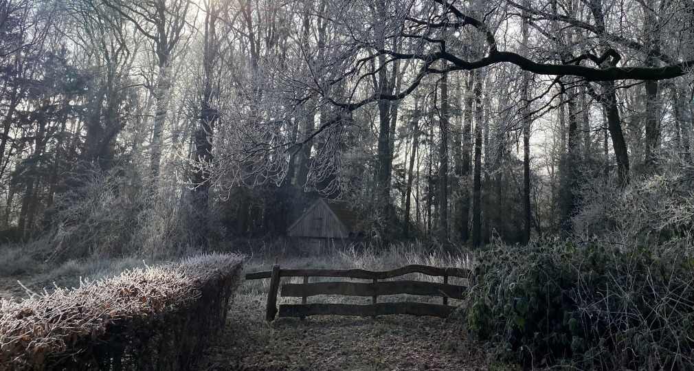Zonnige winterochtend met rijp op bomen en struiken, een houten hek en huisje in een bosrijke omgeving.