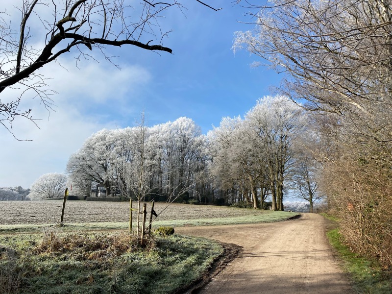 Tourist info Kerstwandeling