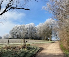 Tourist info  Kerstwandeling Beuningen