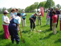 Boerengolf Fox