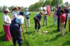 Boerengolf Fox